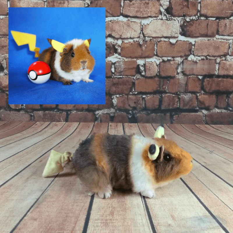 giant stuffed guinea pig