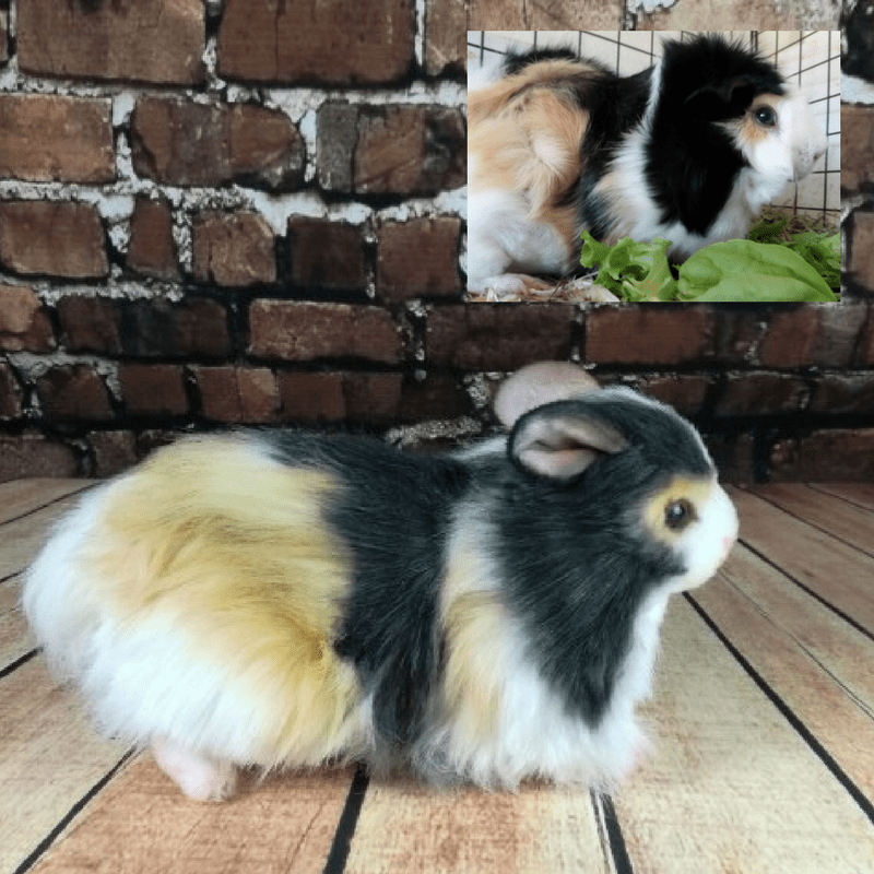 turn hamster into stuffed animal