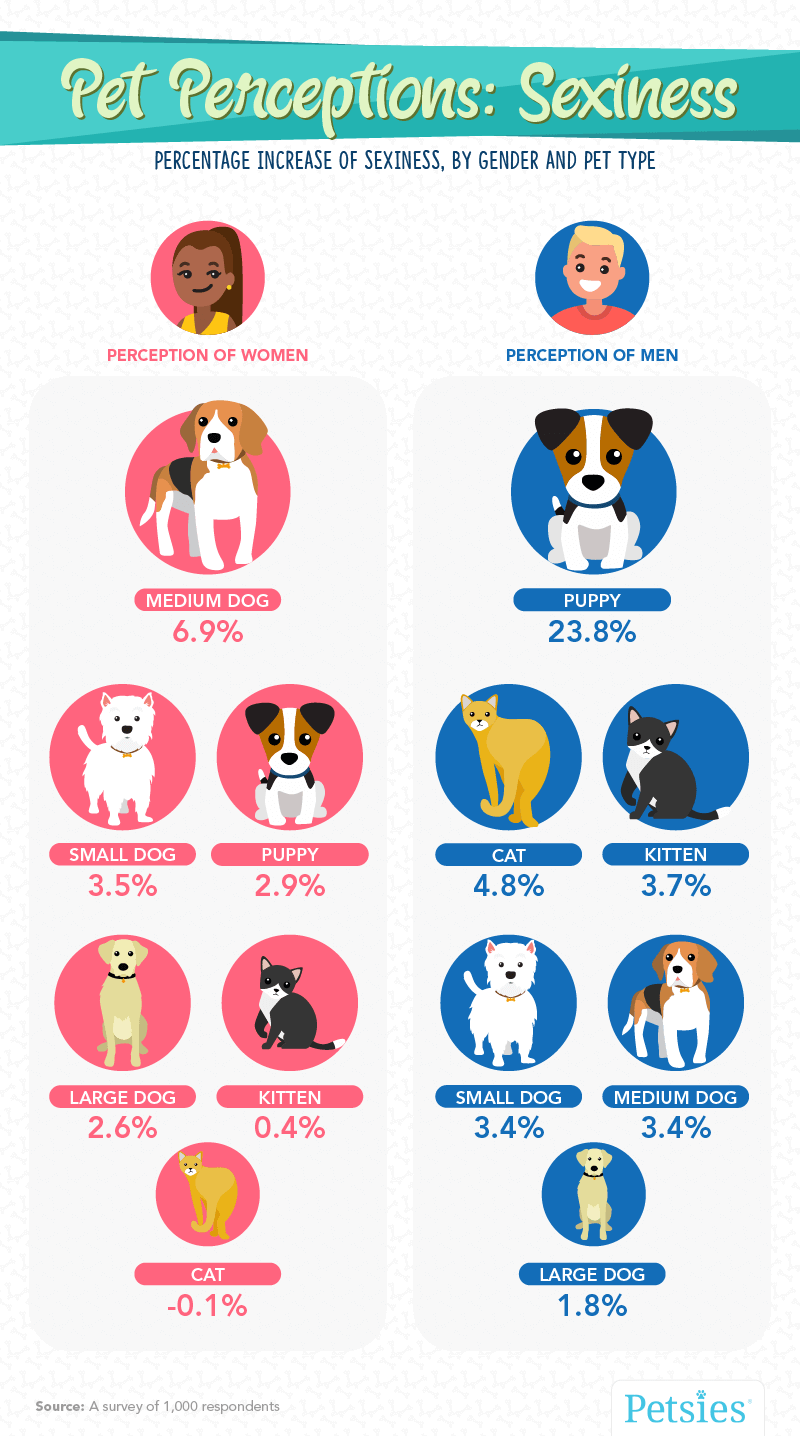 pet people sexiness