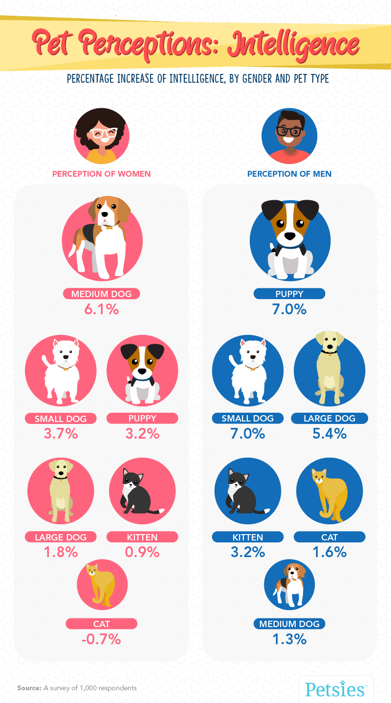 pet people intelligence