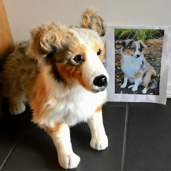 australian shepherd plush toy