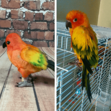 Custom Bird Plushies