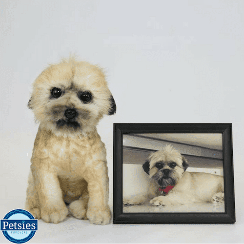 black and white shih tzu plush
