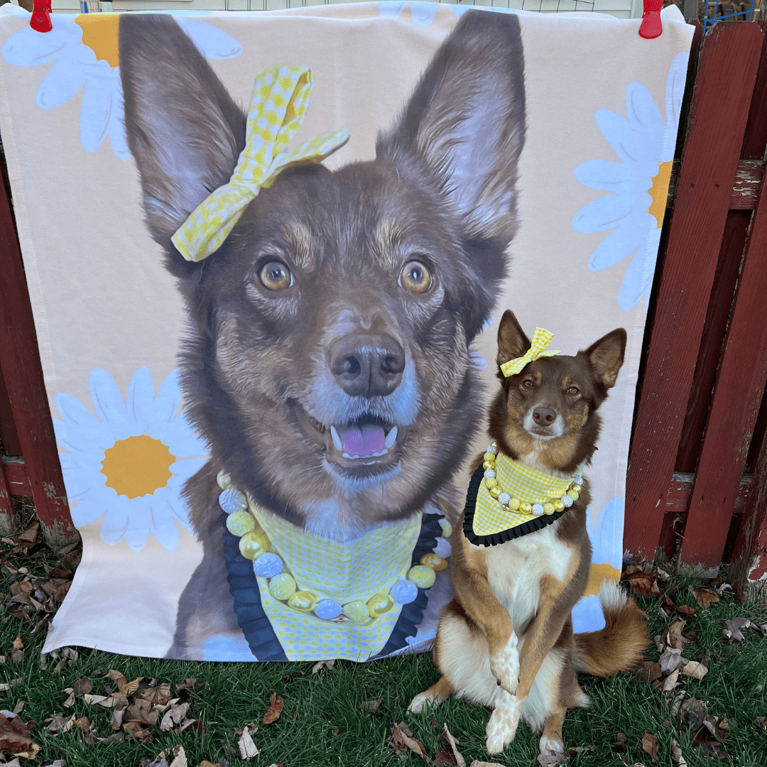 turn your pet's photo into a blanket