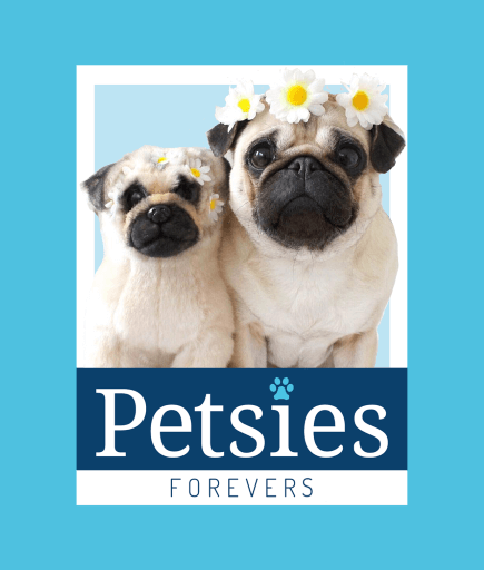 petsies forevers custom plush