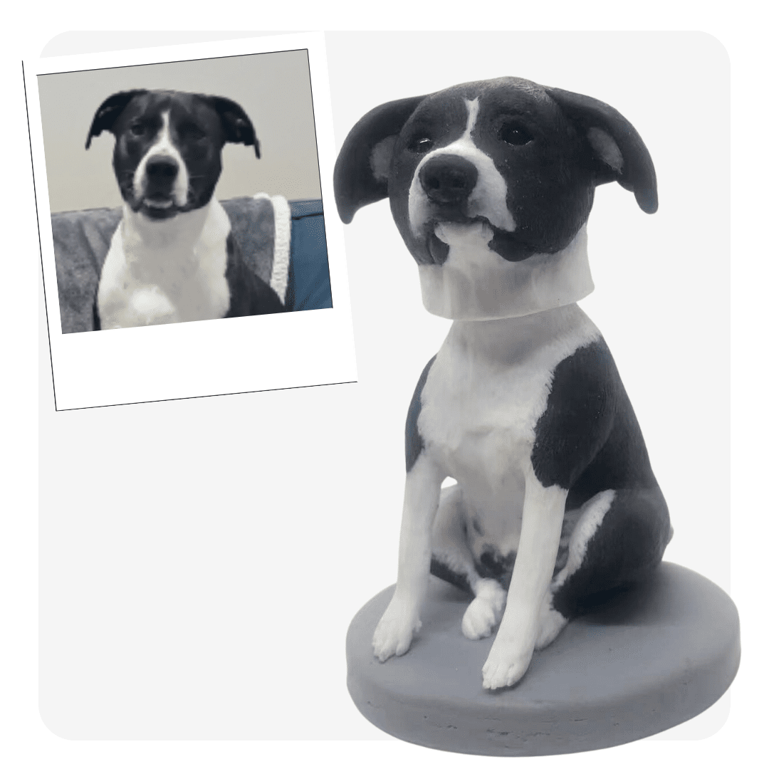 pet bobblehead