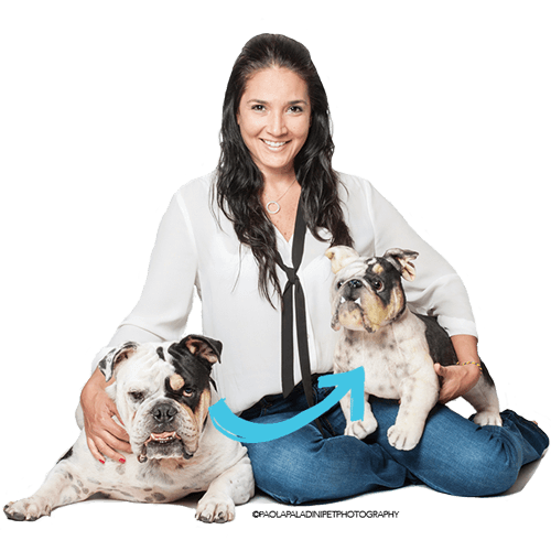custom stuffed animals of your pet cheap