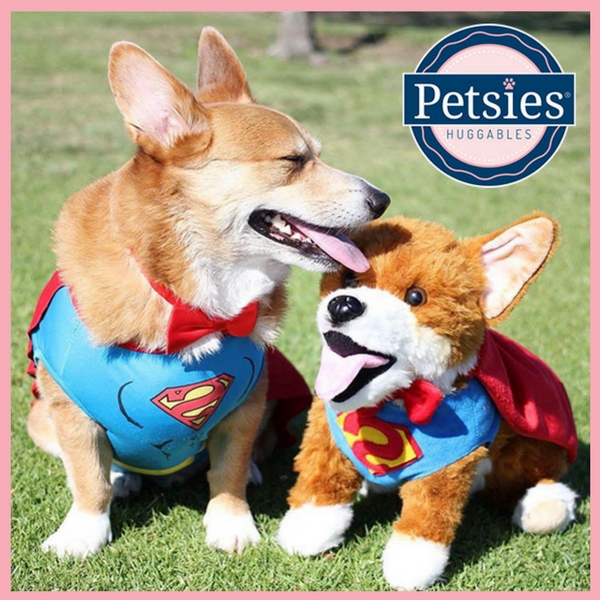 petsies plush