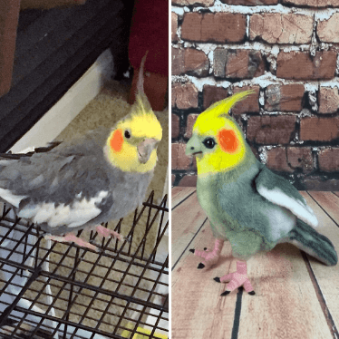 make your own custom stuffed animal