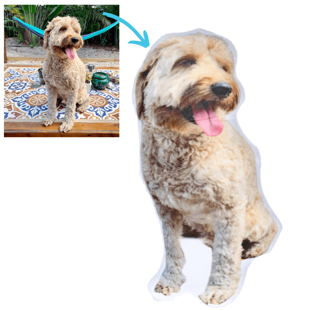 mypetsies reviews