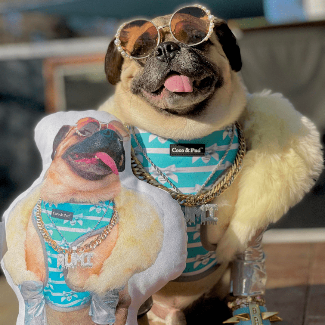 custom pet pillow