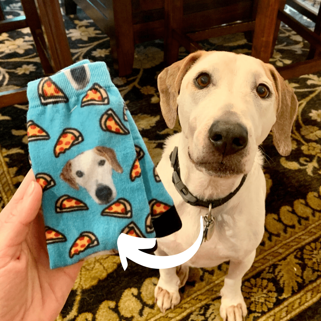 personalized pet socks
