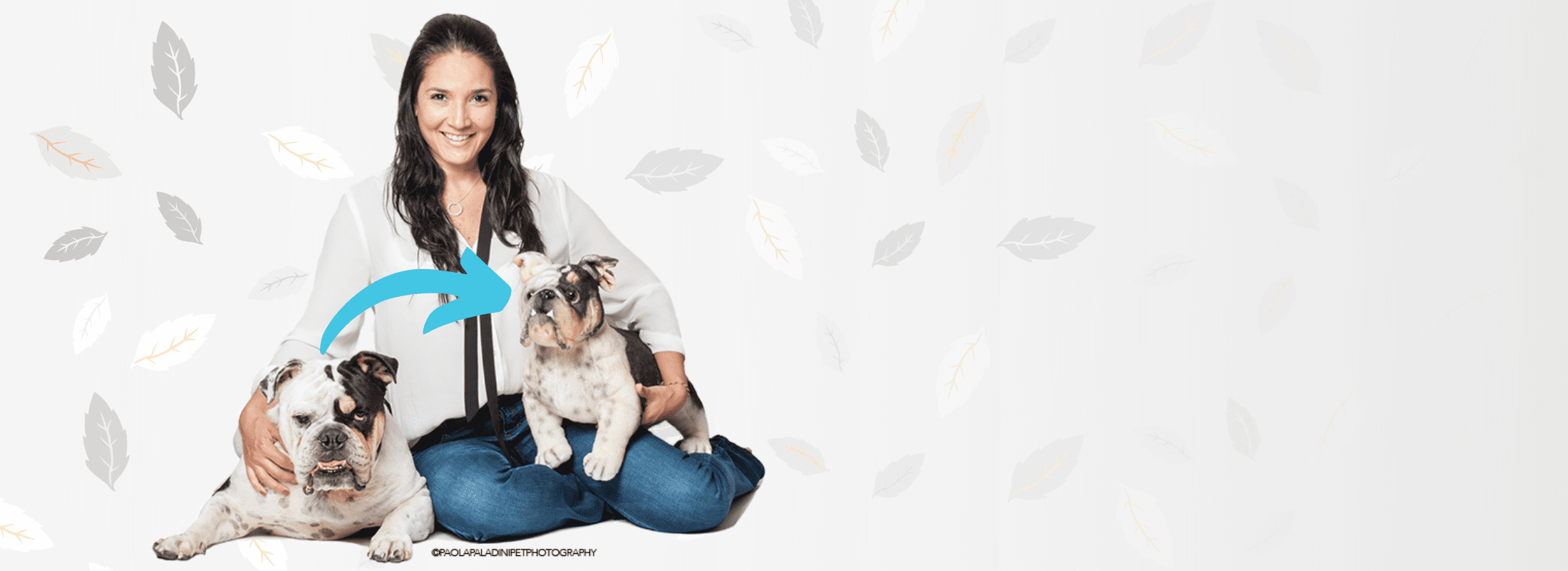 custom stuffed animals of your pet australia