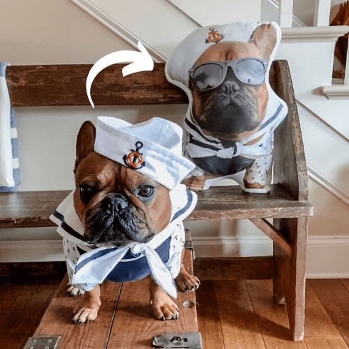 custom photo shaped pet pillow french bulldog
