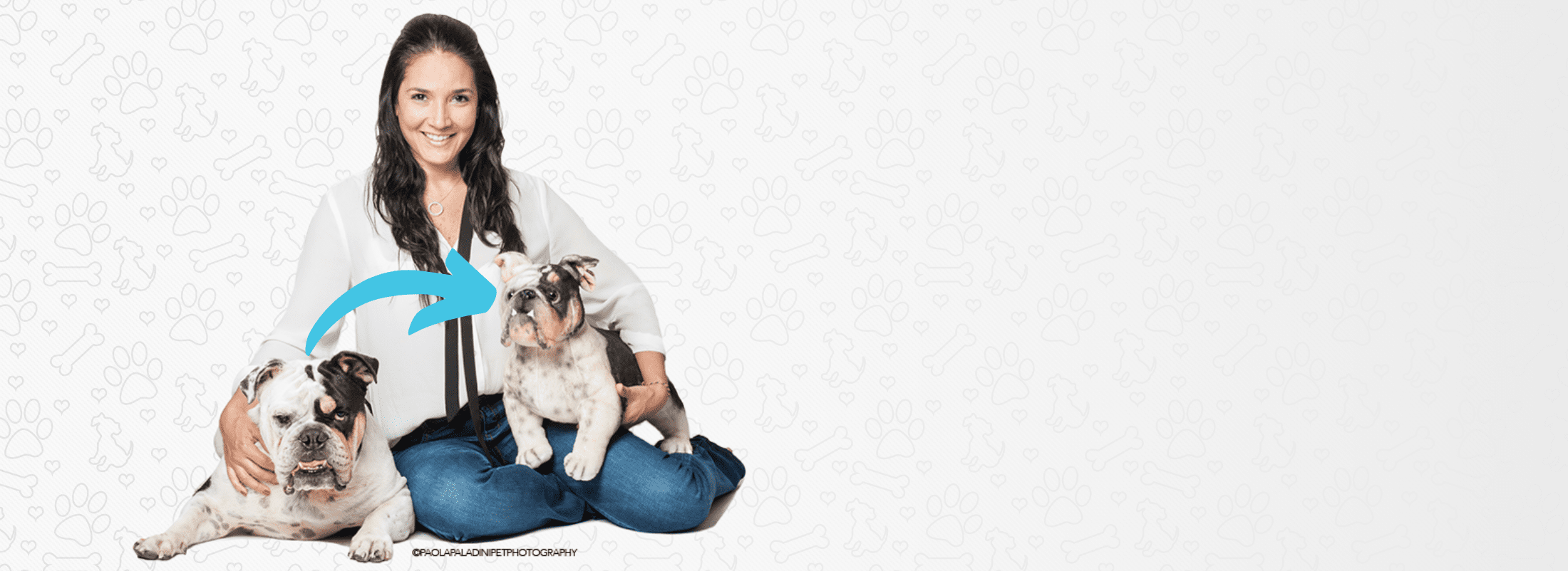 pet recreation stuffed animals