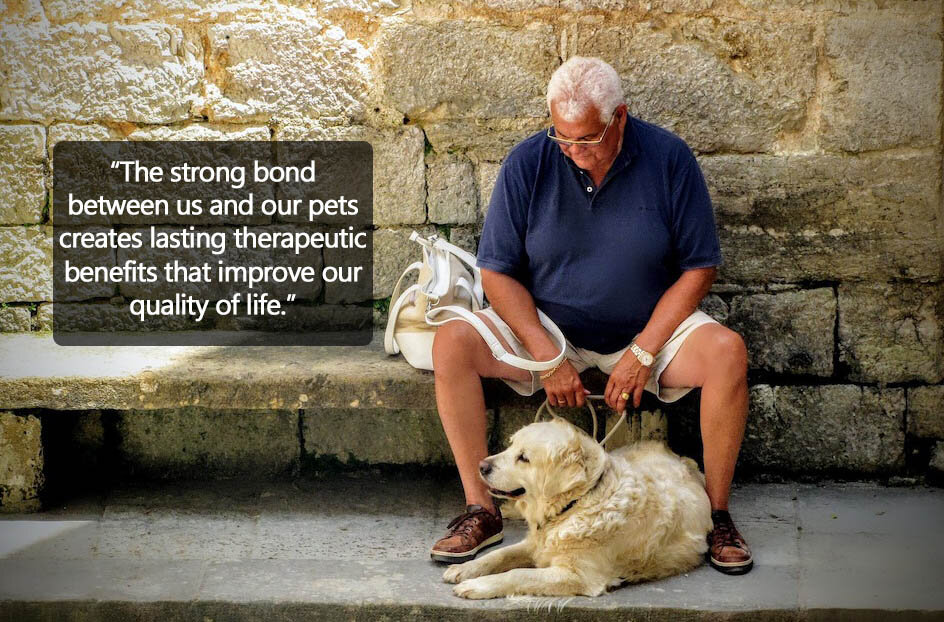 Dementia pet therapy