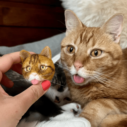 custom pet face magnet 