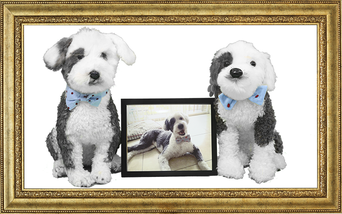 turn a picture of your pet into a stuffed animal