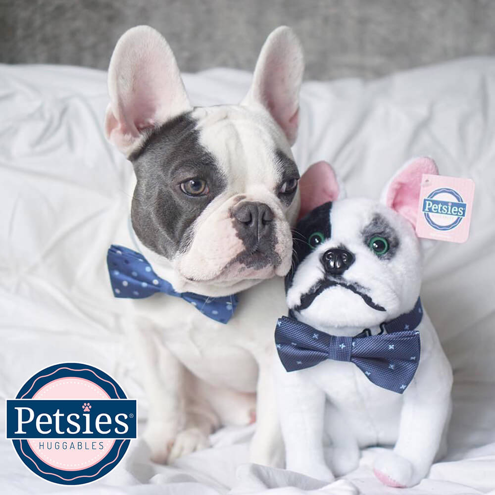 blue french bulldog stuffed animal