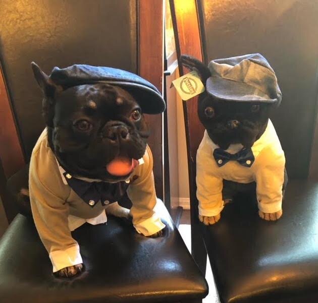 frenchie dog stuffed animal