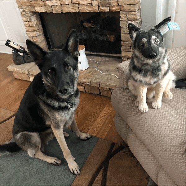 stuffed white german shepherd