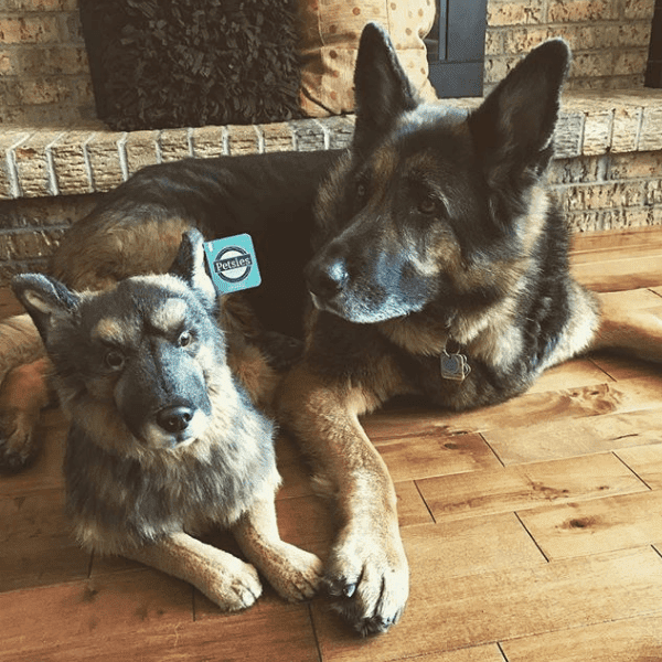 german made stuffed animals