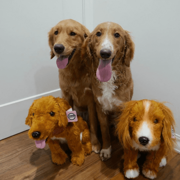 stuffed golden retriever