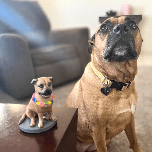 pet bobbleheads