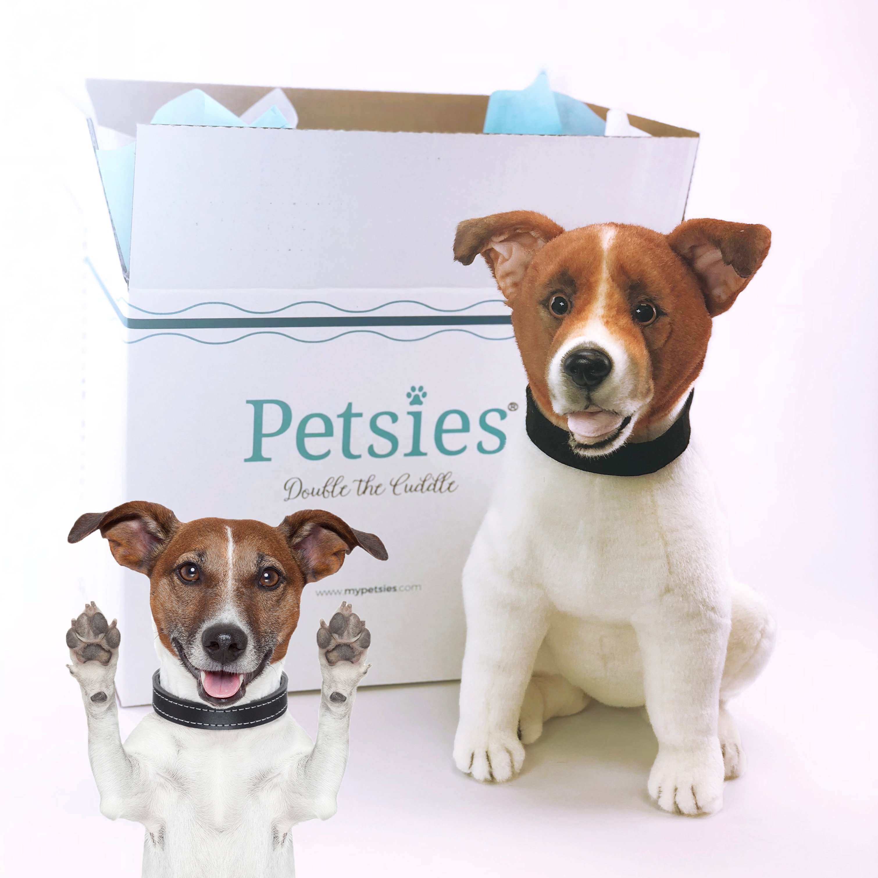 petsies plush
