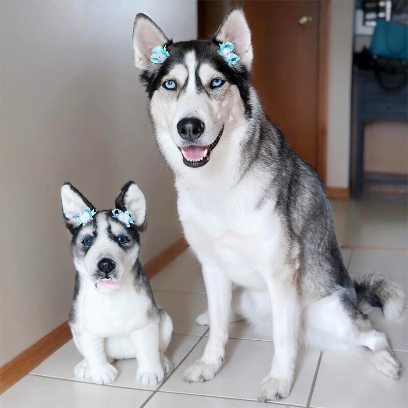 petsie stuffed animals