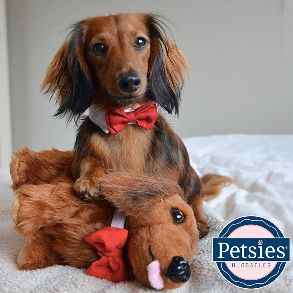 stuffed dachshund