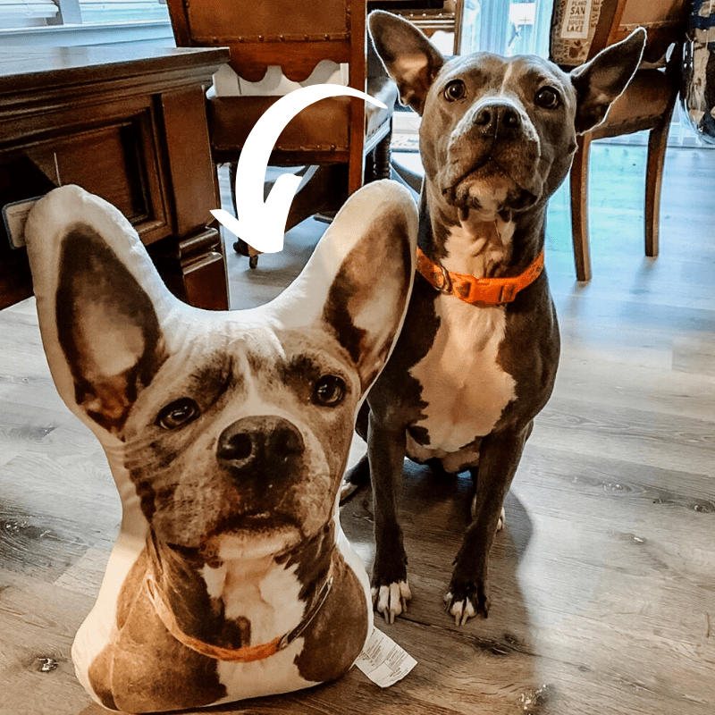 personalized pet pillows 