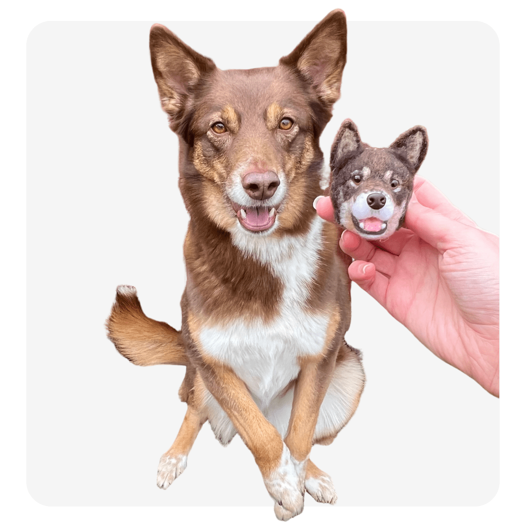 personalized pet magnets