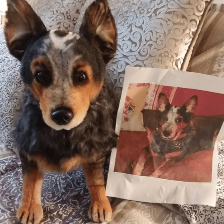 pet memorial plush