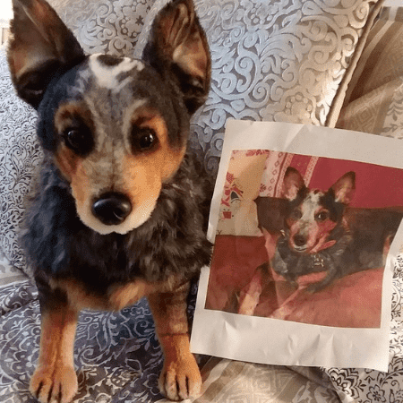 australian cattle dog stuffed animal