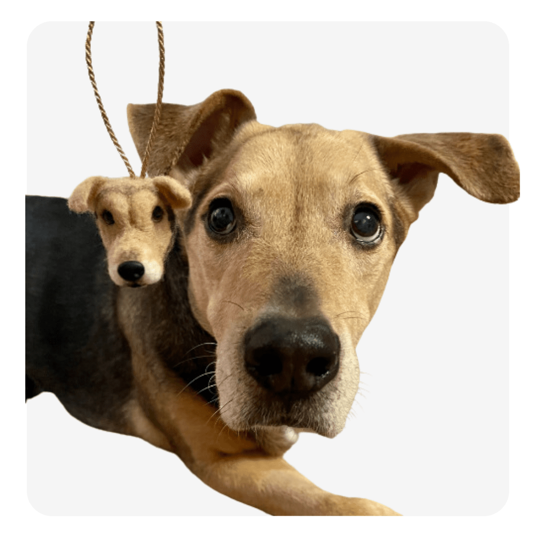 personalized pet ornament