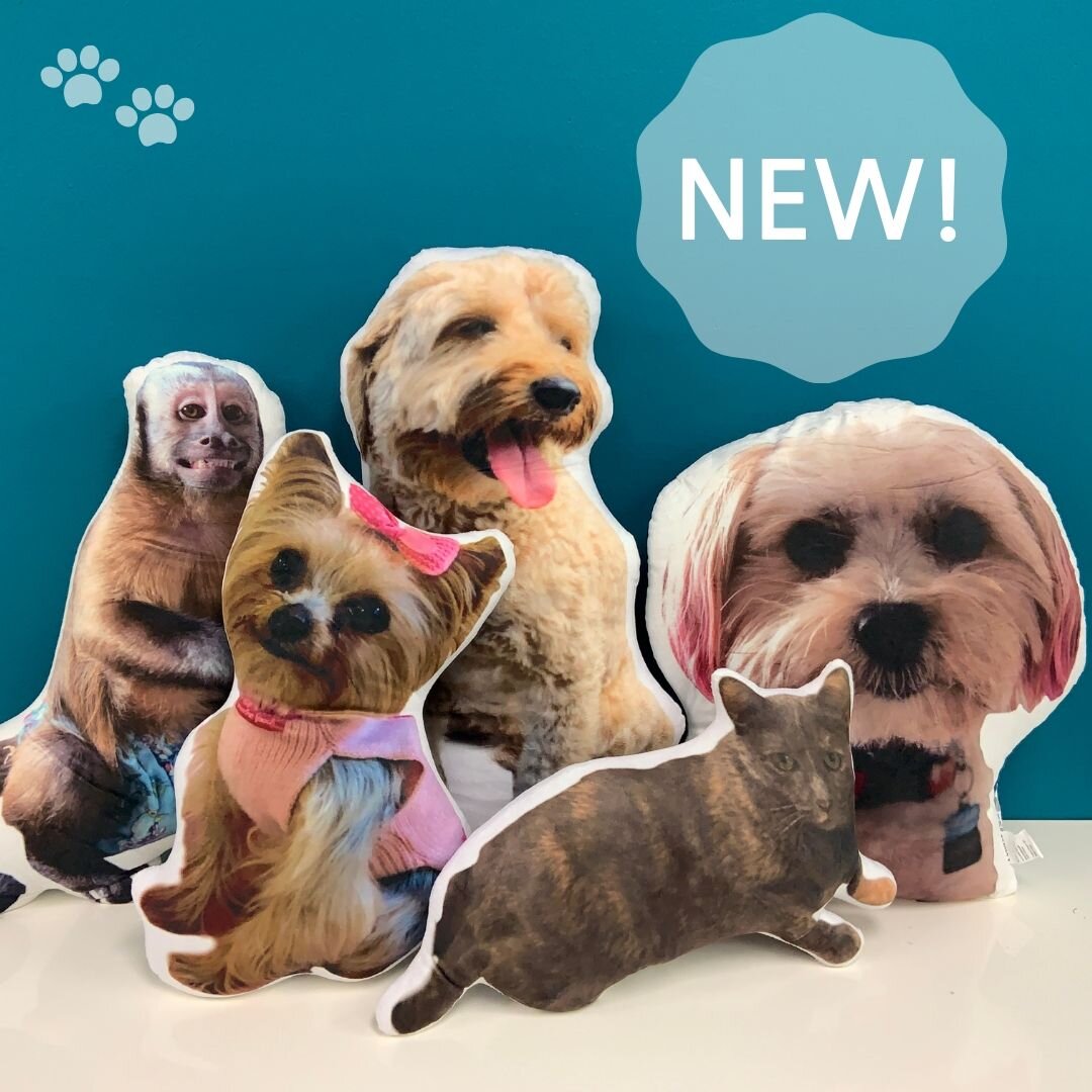 Petsies Custom Stuffed Animals Accessories And Pillows Of Your Pet Just4mypets Com