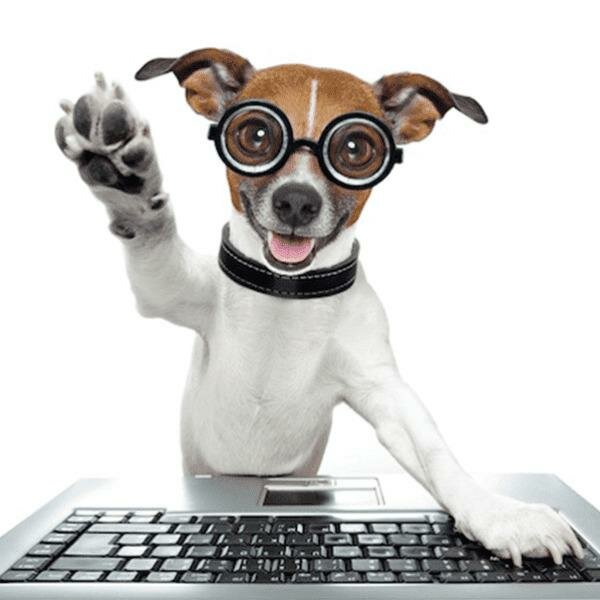 Custom Pet Stuffed Animals, Personalized Pet Gifts | Petsies Custom Pet Stuffed Animals, Personalized Pet Gifts | Petsies