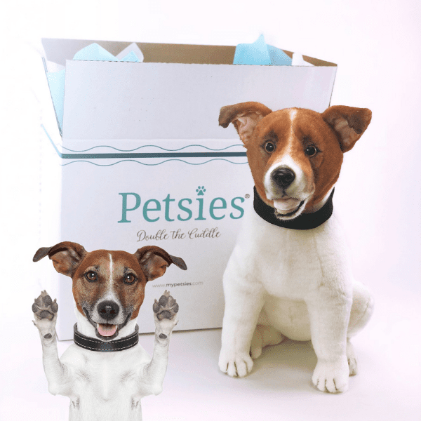petsies price