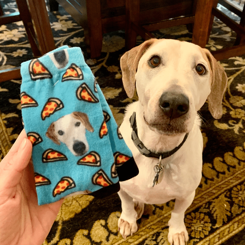 pet socks