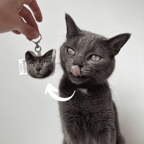 photo pillow keychains of pet 