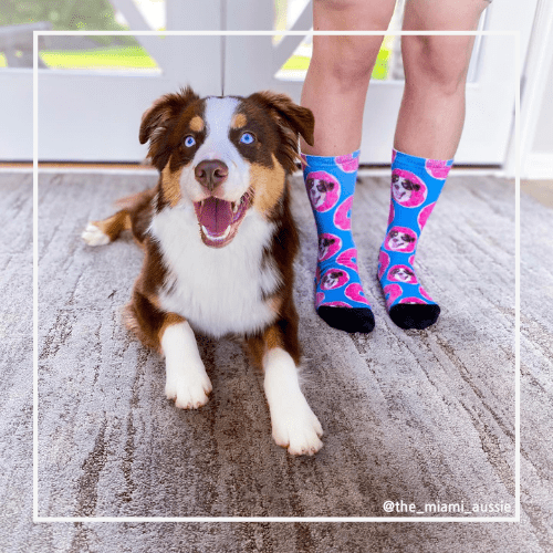 personal dog socks