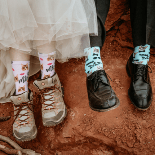 pet socks