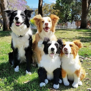 petsies plush