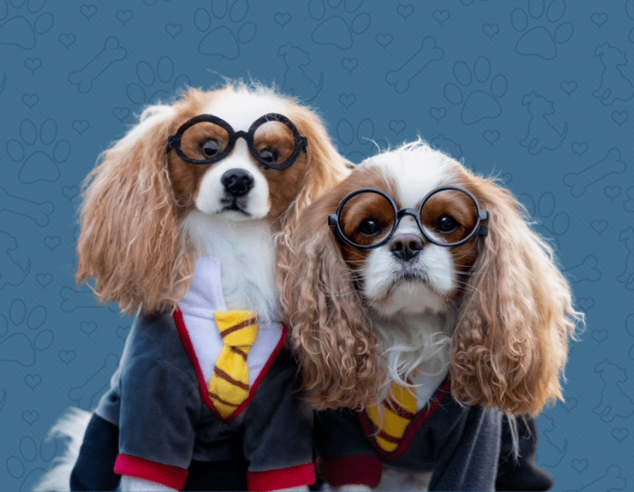 Custom Pet Stuffed Animals, Personalized Pet Gifts | Petsies Custom Pet Stuffed Animals, Personalized Pet Gifts | Petsies