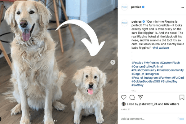 mypetsies reviews