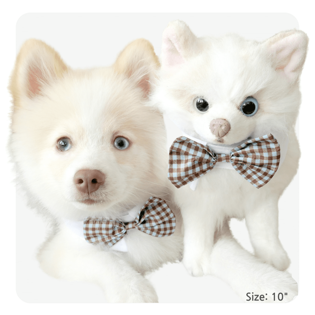 personalized pet gift holiday