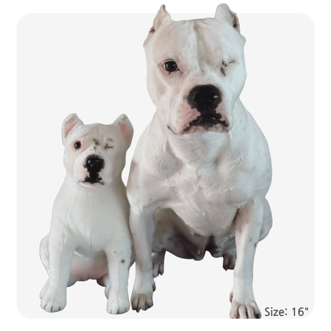 personalized pet gift holiday