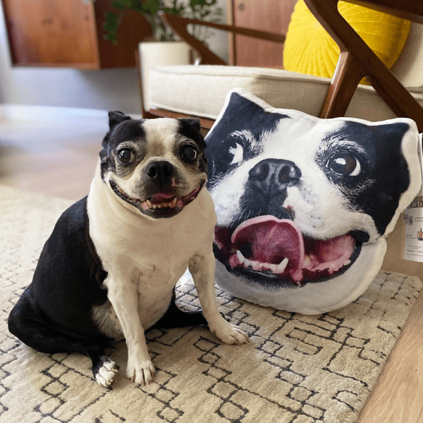 personalized pet pillows 