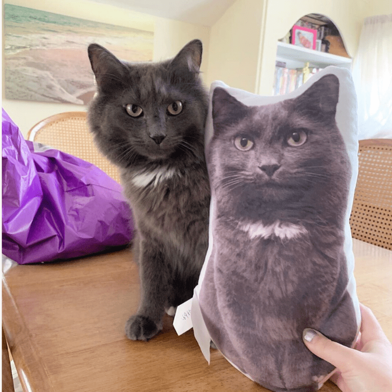 pillows from pet pictures